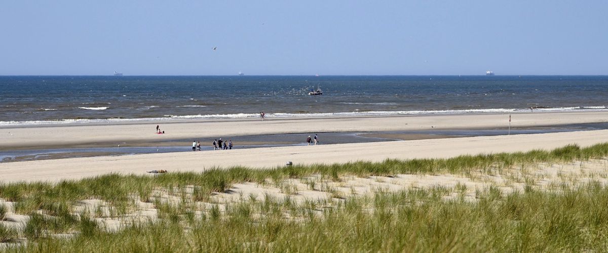 Beach near the Zandmotorpad